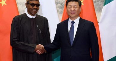 China’s great economic transformation: Lessons for Nigeria (1)