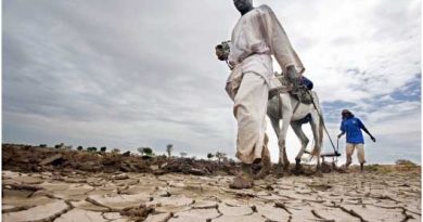 Global Warming: Severe Consequences for Africa