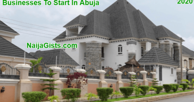 Top 6 Businesses You Can Do In Abuja NigeriaNaijaGists.com
