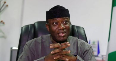 Amotekun: South West governors to sign security outfit bill Friday - Fayemi