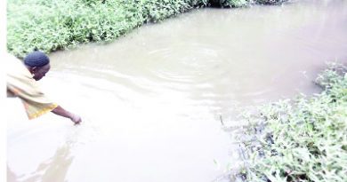 The Mysterious River In Ekiti Which Heals Ailments And Has Different Kinds Of Strange Fish