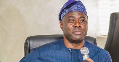 Akinyele killings: Declare state of emergency in security - NGO, traditionalists tell Makinde