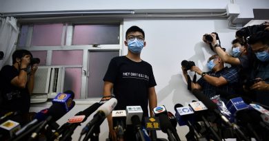 Joshua Wong vows to fight on after HK election disqualifications | News