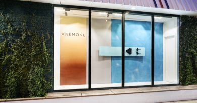 Sustainable Swimwear Brand Anemone Offers Pop-up Inside Fred Segal – WWD