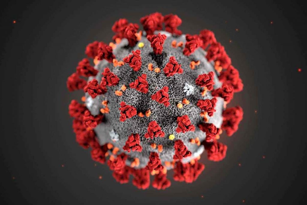 The Coronavirus Pandemic Is Not A Scam, Here’s Why The Coronavirus Pandemic Is Not A Scam, Here’s Why