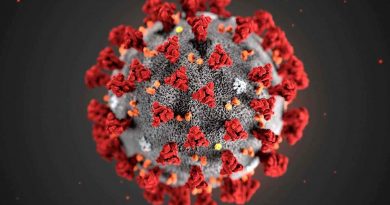 The Coronavirus Pandemic Is Not A Scam, Here’s Why