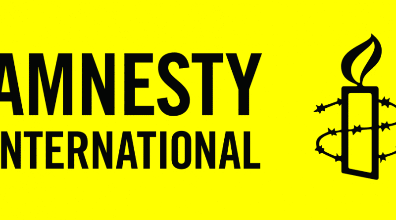2020: 1,500 Nigerians killed, kidnapped in 8 northern states - Amnesty International
