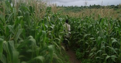 Youth Rural-Urban Migration Hurts Malawi’s Agriculture