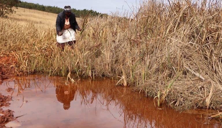Understanding The Benefits Of Local Wetland Encourages Eswatini Community To Save It