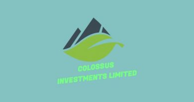 Facility Manager at Colossus Investment Limited