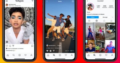 Is Instagram Reels Better Than Tiktok? It Depends on Who You Ask. | Intelligence, BoF Professional