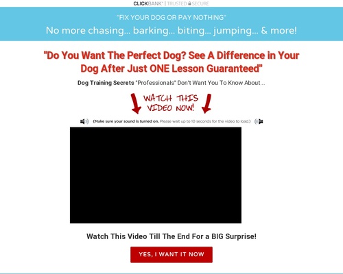 Dog Training Secrets "they" Don't Want You To Know About