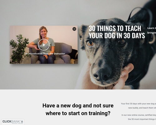 Digital Dog Training Course: 30 Things To Teach Your Dog In 30 Days