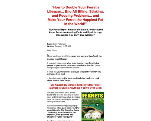 Find Out About Ferrets - By Small Animal Expert Colin Patterson