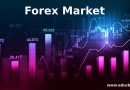 Fibonacci Series and Forex Trading