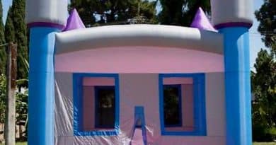Princess Dreamland Bounce House Product Review